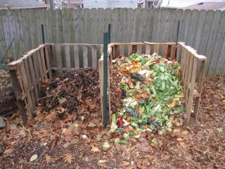 Compost Pile Information
