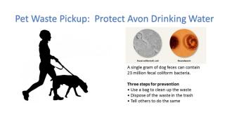 Image of dog walker and information about drinking water and dog waste
