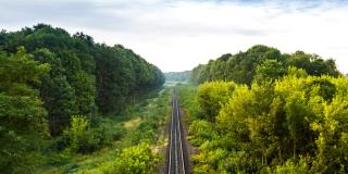 railroad vegetation management