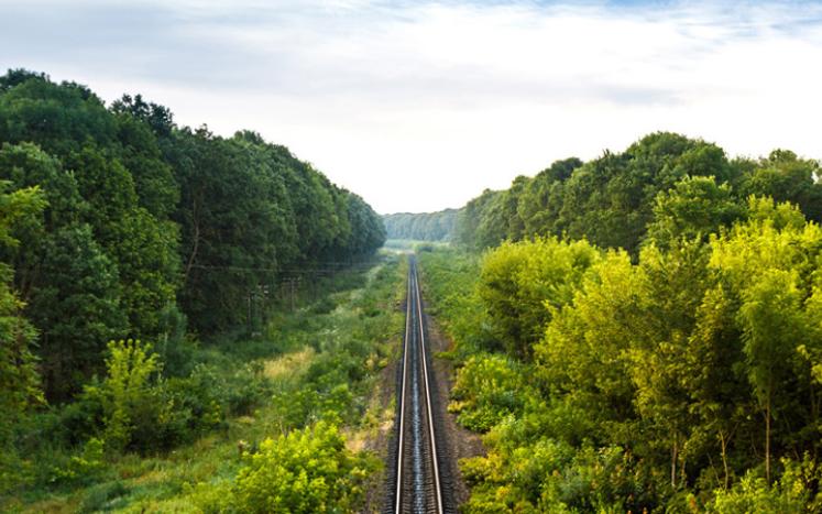 railroad vegetation management