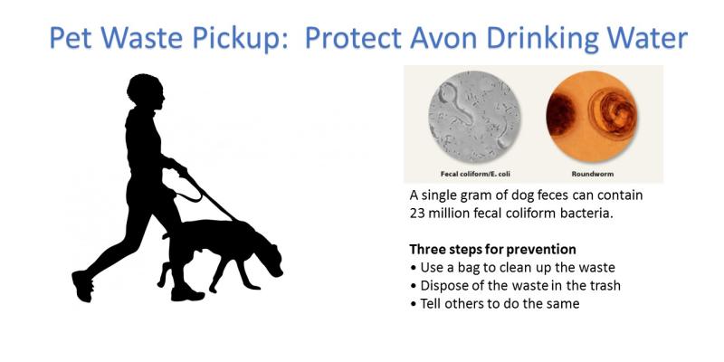 Image of dog walker and information about dog waste and your drinking water
